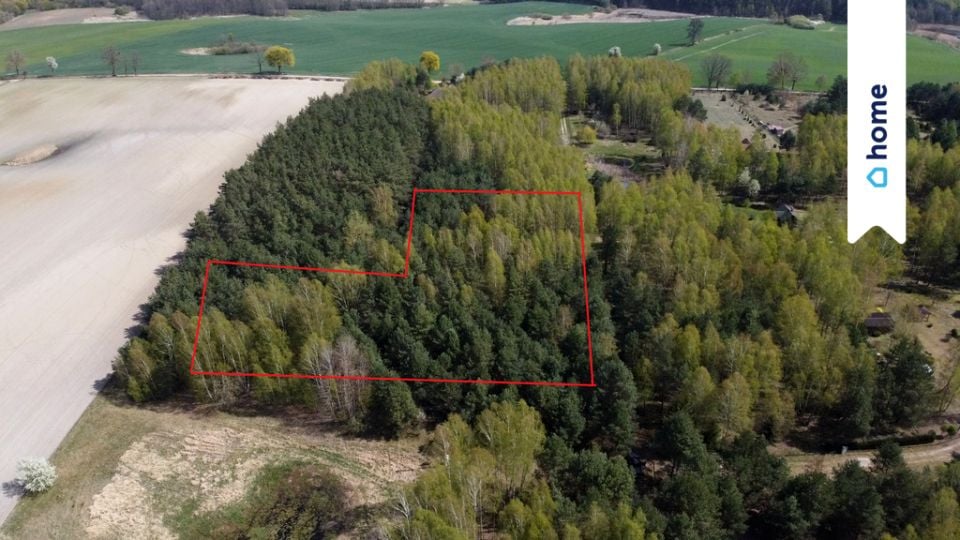 Działka budowlana Nowy Jasiniec