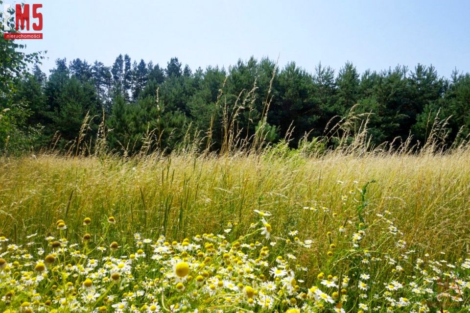 Działka Iwanówka