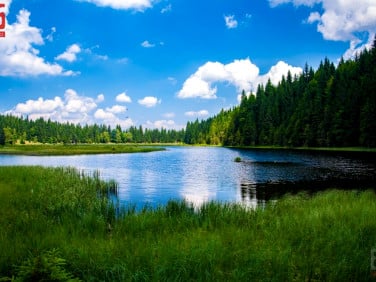 Działka inwestycyjna ogrodzona Boguszewo