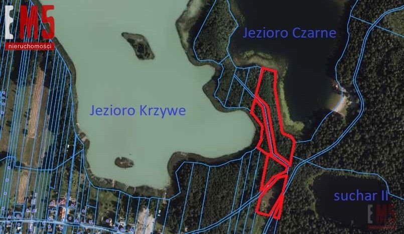 Działka Krzywe