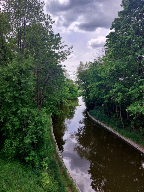 Działka rolna Dobrzyki