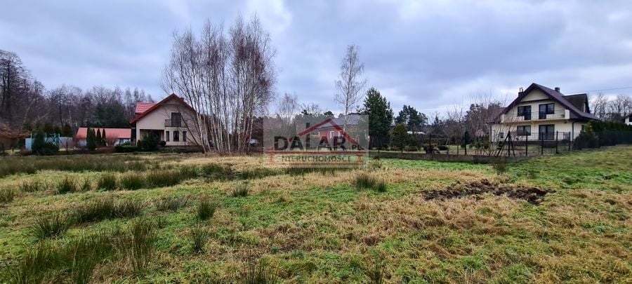 Zdjęcie 3