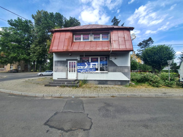 Dom wolnostojący Mirsk