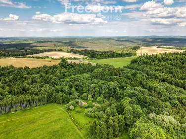 Działka Borownica