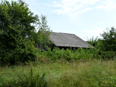 Działka rekreacyjna Wesoła