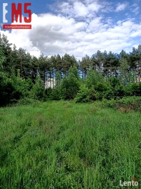 Działka inwestycyjna Kuriany