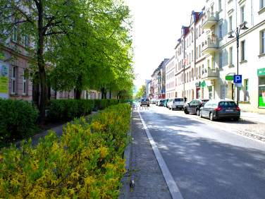Mieszkanie Toruń