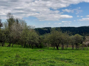 Działka budowlana Stryszawa