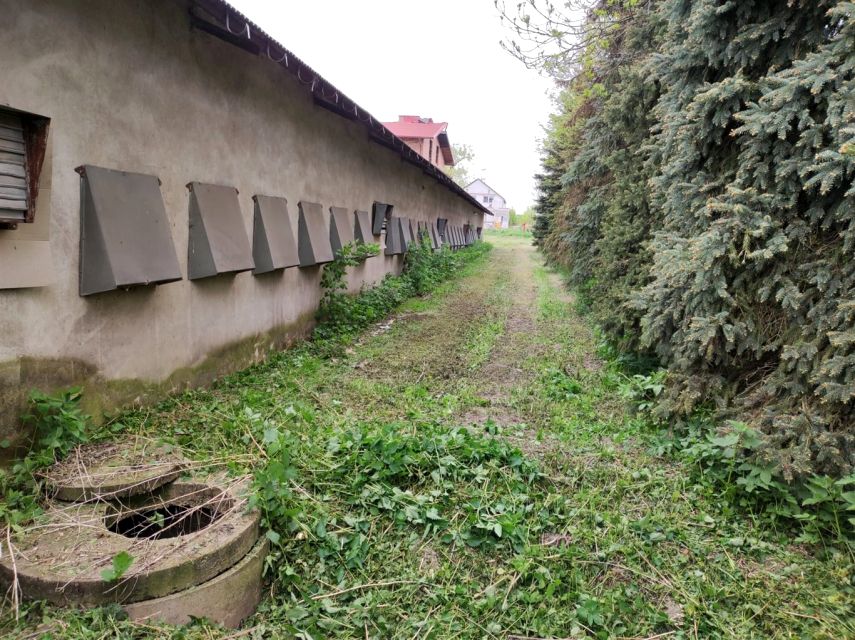 Budynek użytkowy Dąbie