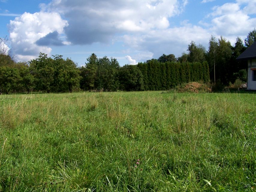 Działka Kozy