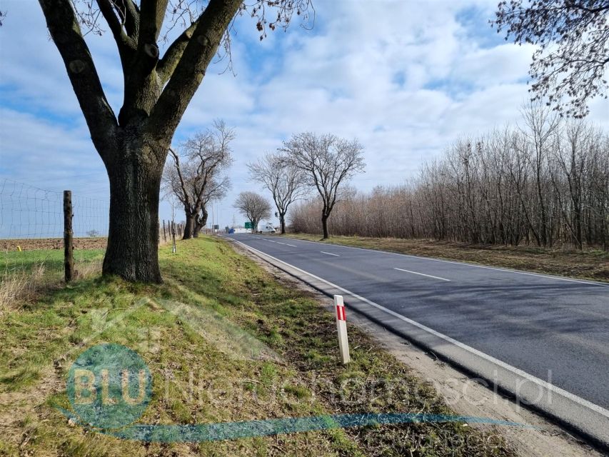 Zdjęcie 3