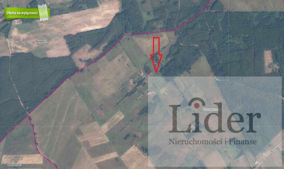Działka Szczenurze