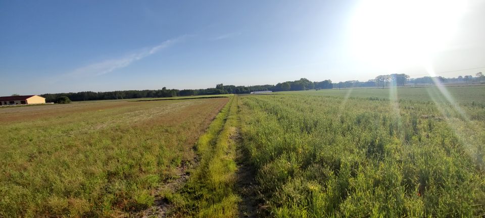 Działka budowlana Kwiatkowice-Las