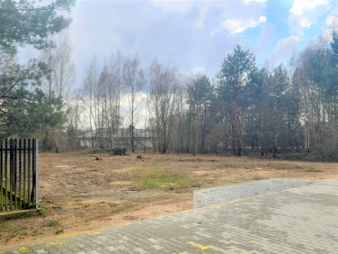 Działka budowlana przy lesie, ul. Chabrowa