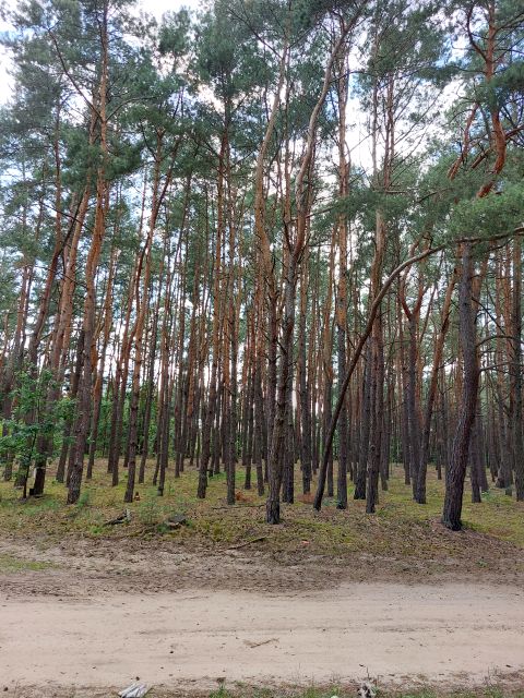 Działka Siwianka