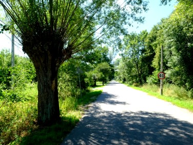 Działka Kampinos