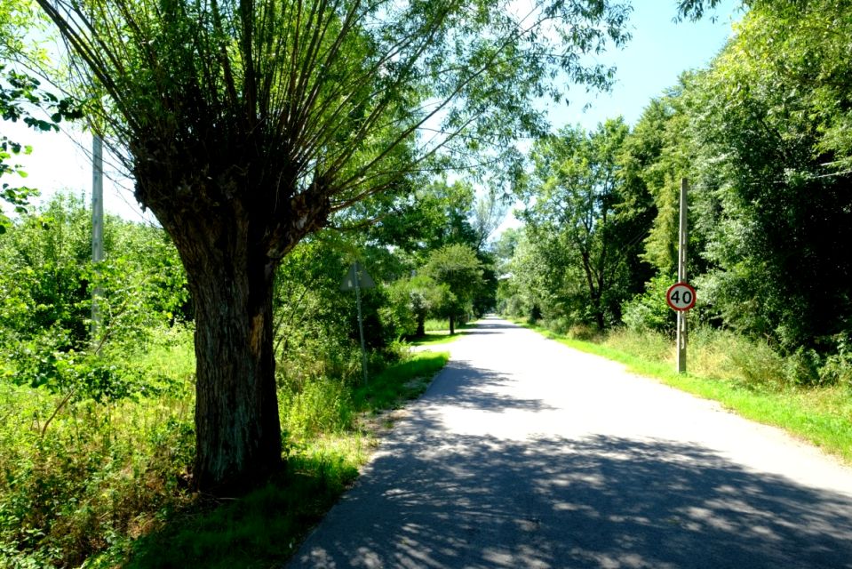 Działka Kampinos