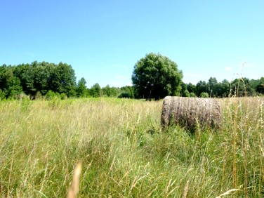 Działka Kampinos