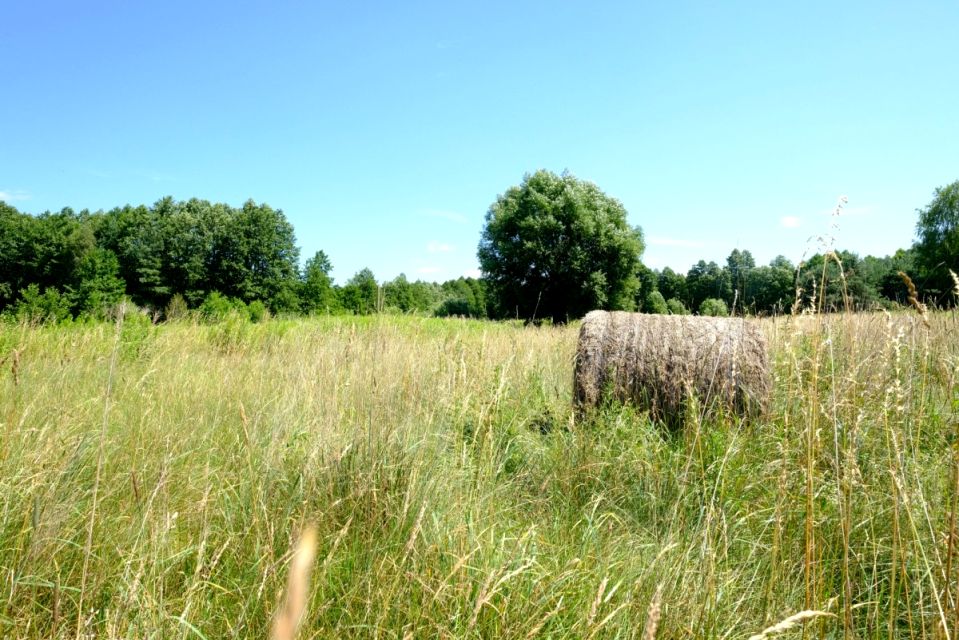 Działka Kampinos