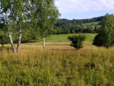 Działka Jordanów