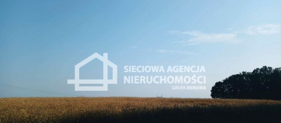 Zdjęcie 3