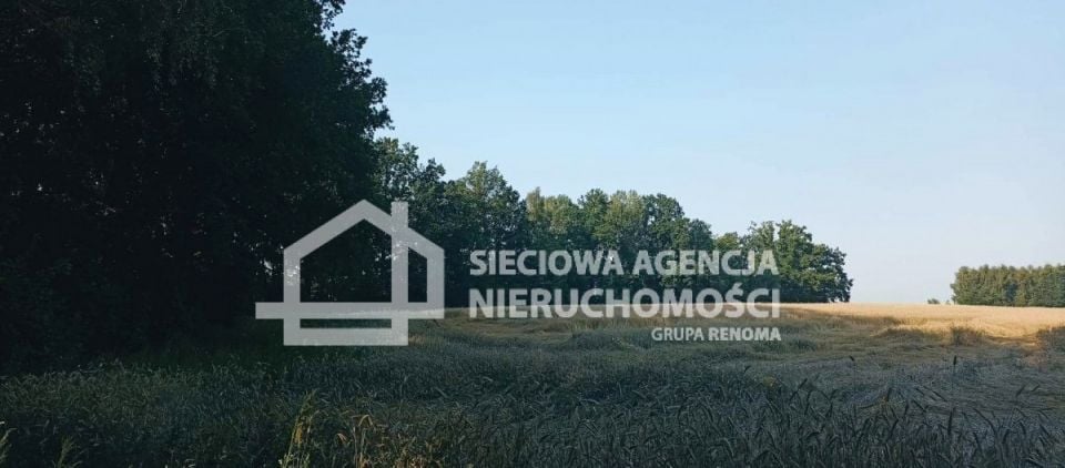 Zdjęcie 2