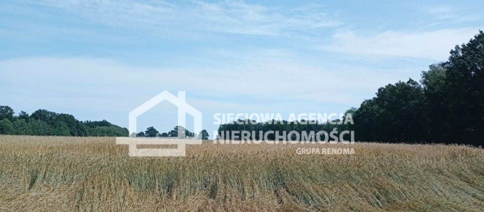 Działka Wilkowo Nowowiejskie