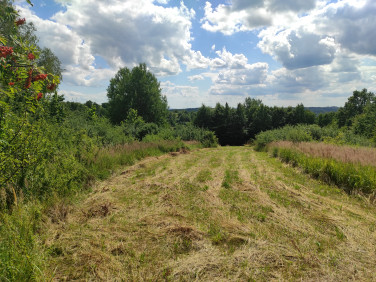 Działka rolno-leśna Golcowa