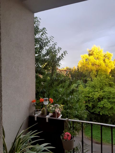 Mieszkanie Bielsko-Biała