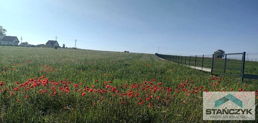 Działka rolna Grabowo