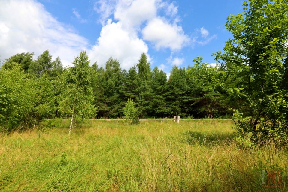 Działka Augustów