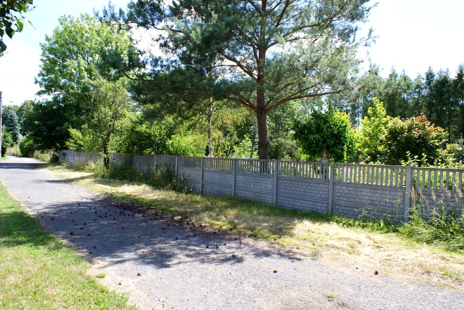Działka siedliskowa Lenarcice