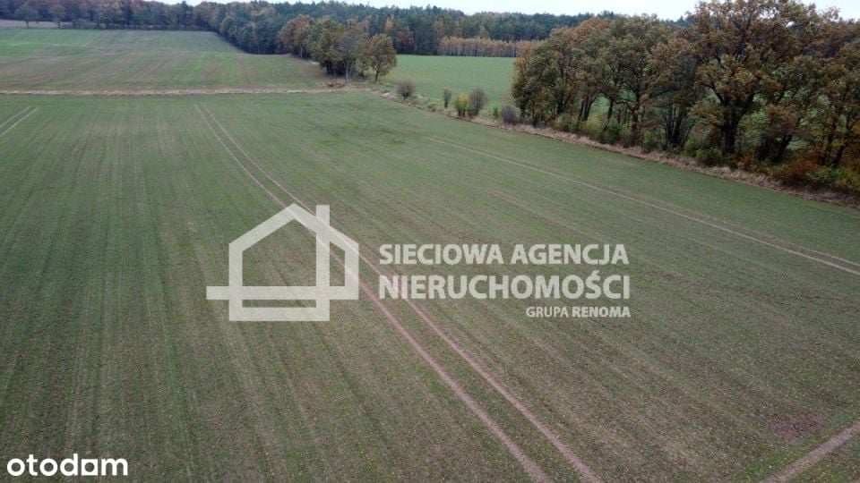 Zdjęcie 3