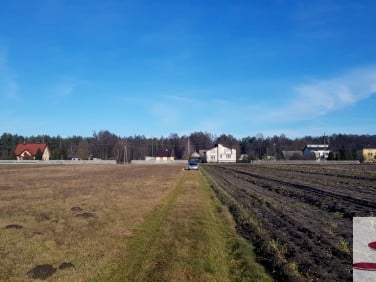 Działka budowlana Czarny Lasek