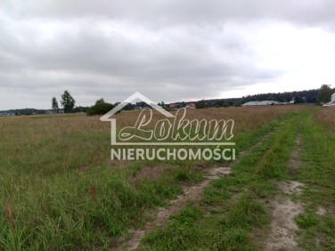 Działka Niedźwiedź