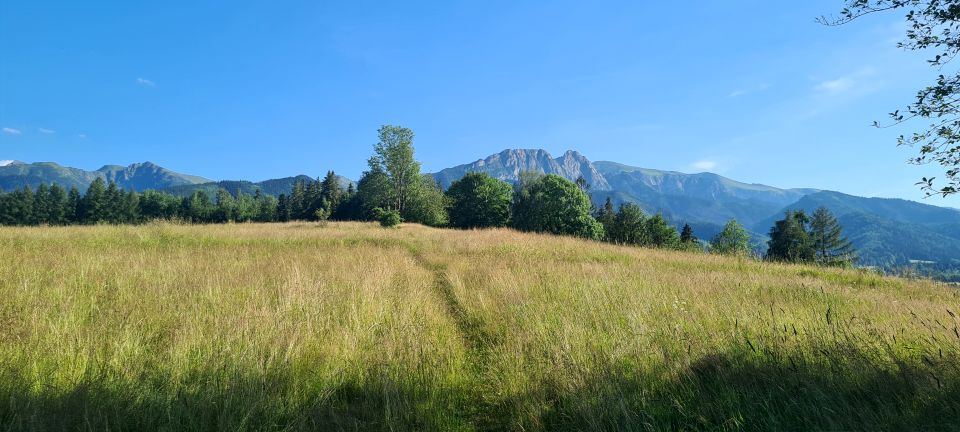 Działka rolna Zakopane