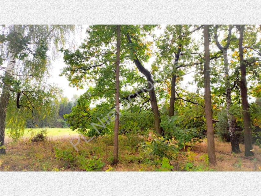 Działka Odrano-Wola