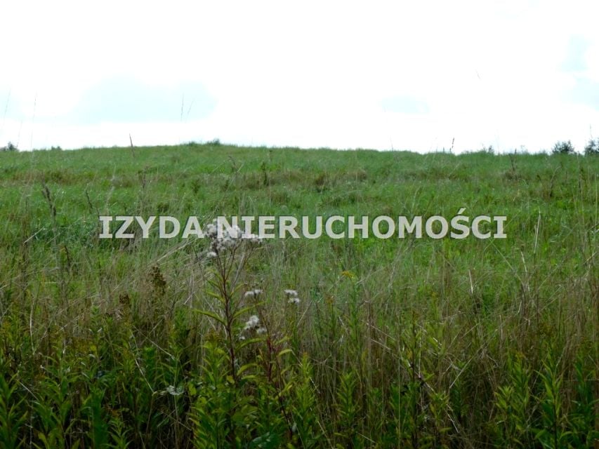 Zdjęcie 2