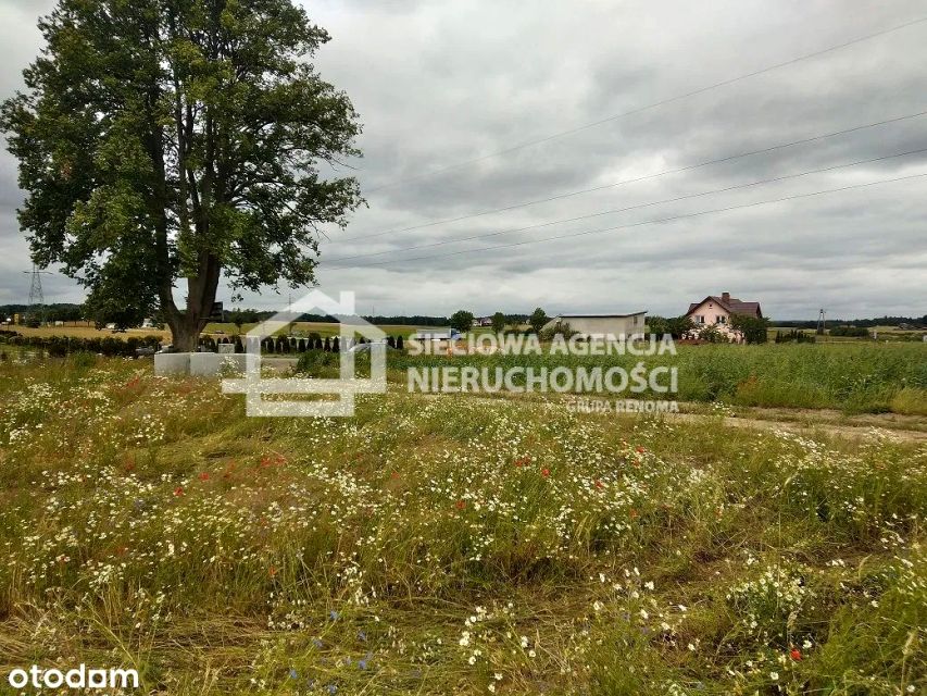 Działka inna Borcz