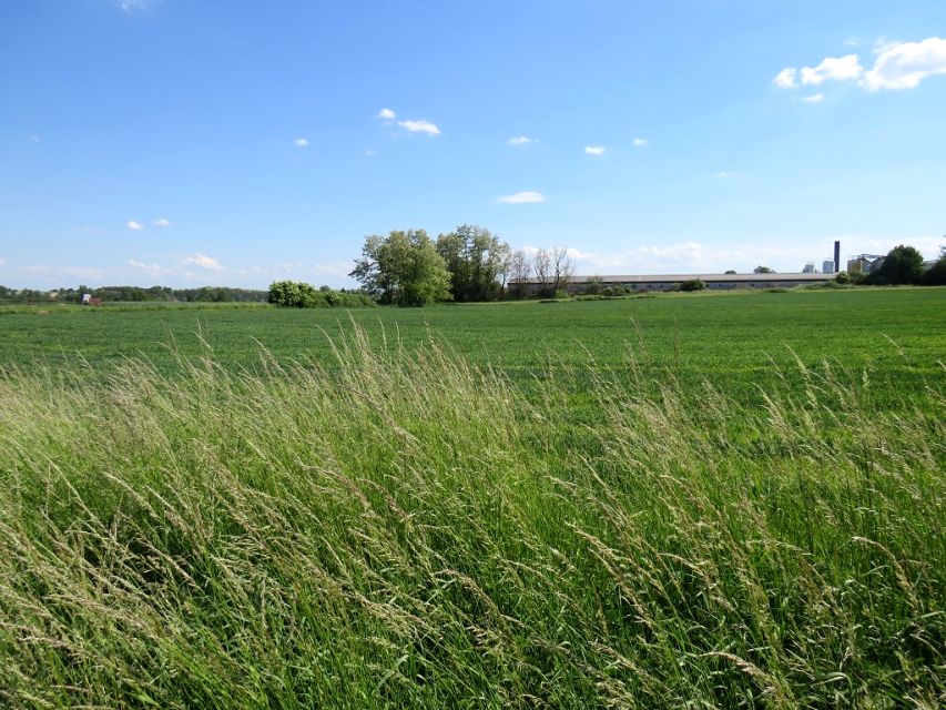 Działka budowlana Klimontów
