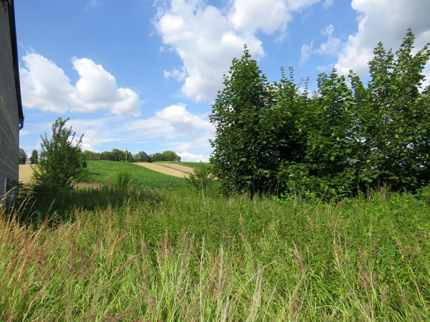 Działka budowlana Proszowice