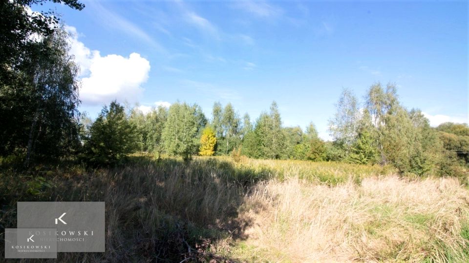 Działka Wilków