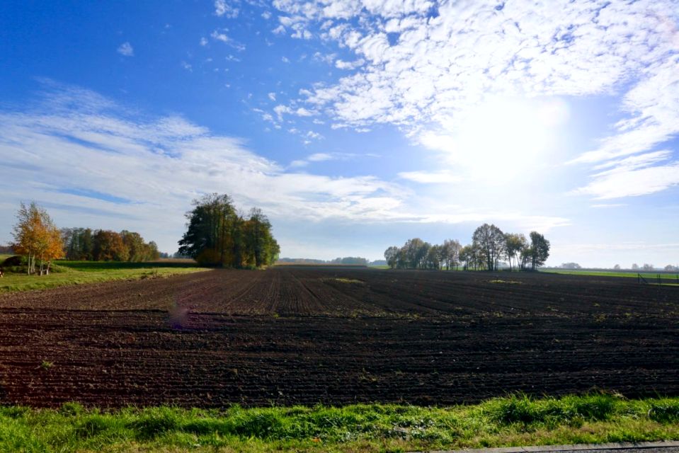 Działka budowlana Warszowice
