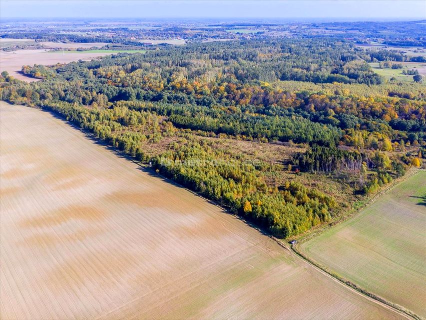 Działka inna Kleszczewo