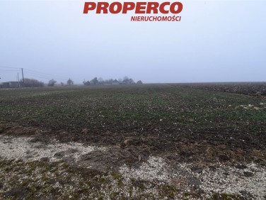 Działka Jędrzejów