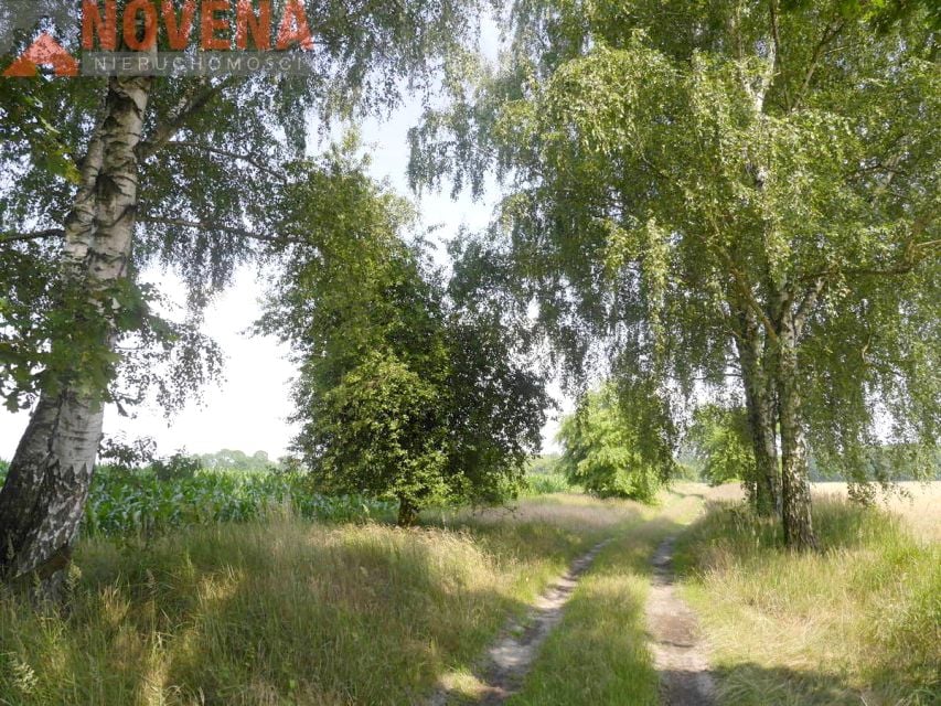 Zdjęcie 3