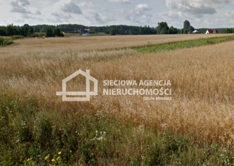 Działka inna Przyjaźń