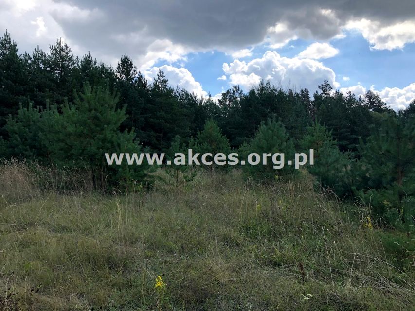 Działka rekreacyjna Bakałarzewo sprzedam