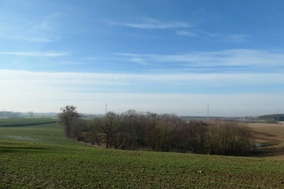 Działka rolna Gniew