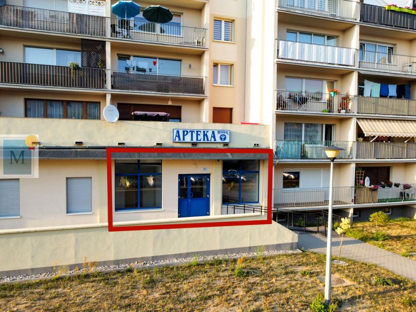 Lokal Żary